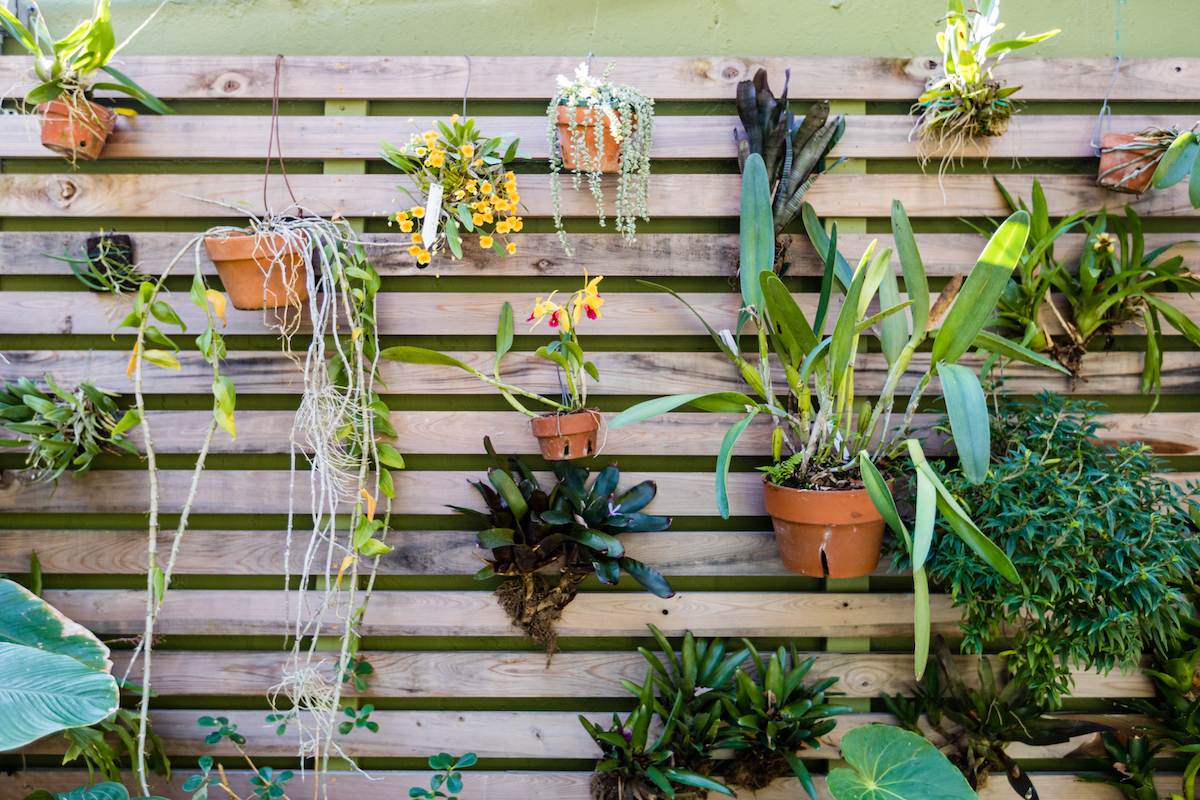 wood slatted wall with various plants hanging off it