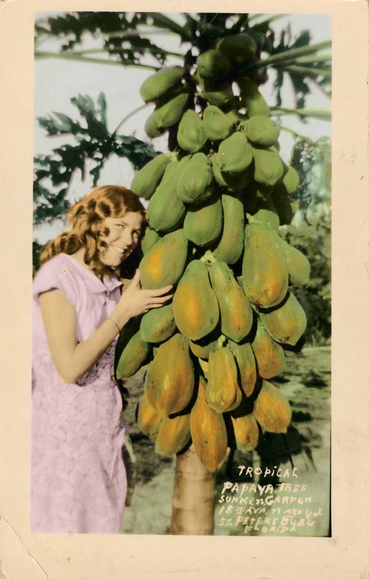 woman showing off papaya tree
