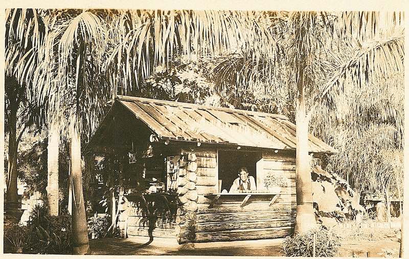 old sepia image of a wood cabin surrounded by palm trees with a man smiling out the window