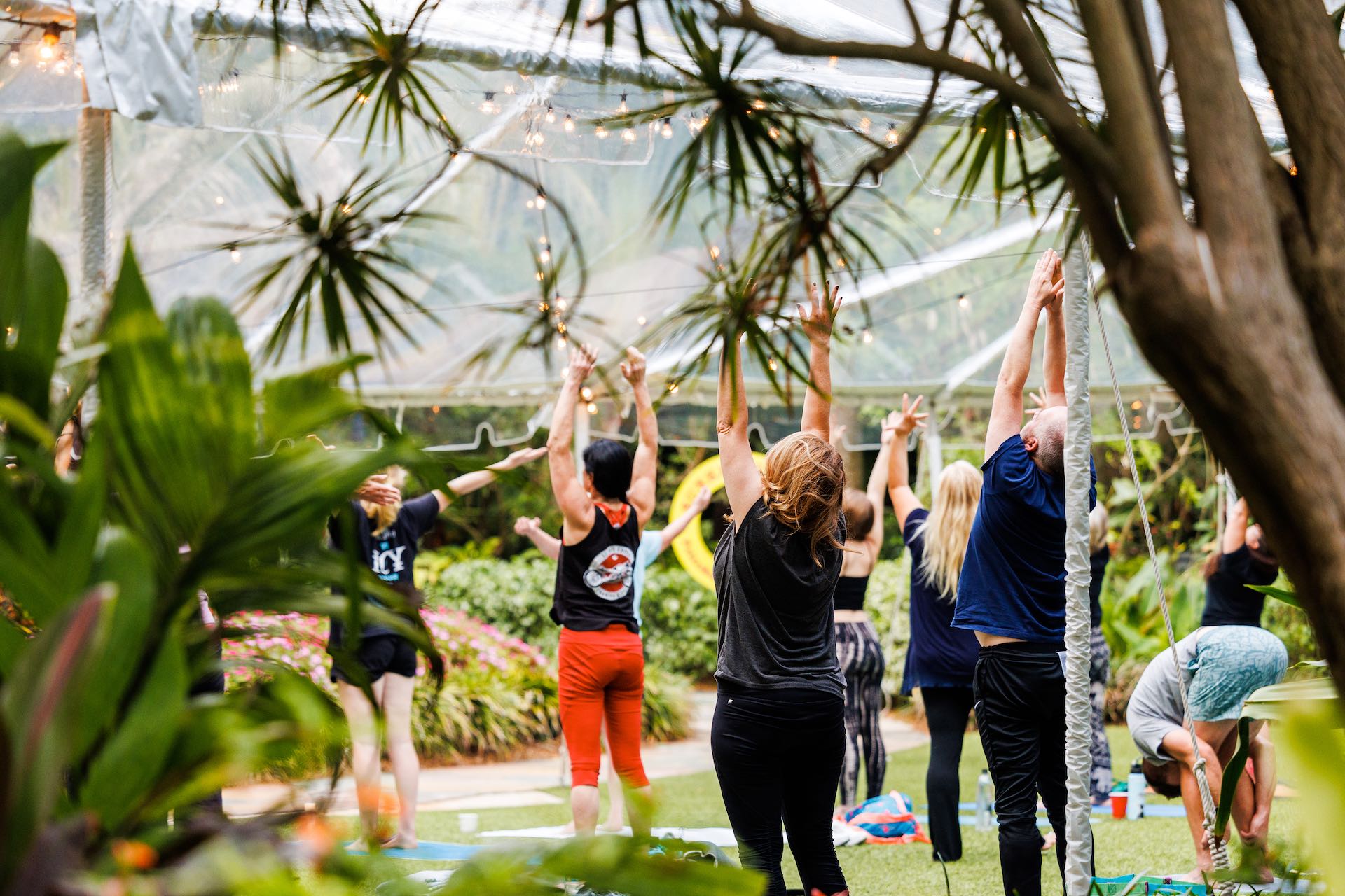 group of people stretching tall in an outdoor yoga class at Sunken Gardens