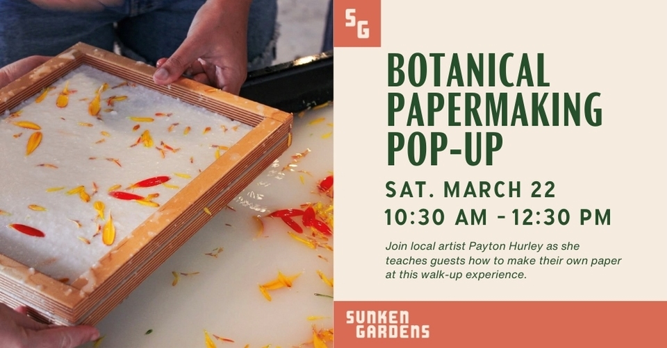 Graphic advertising Botanical Papermaking Pop-up program happening at Sunken Gardens on Saturday, March 22 from 10:30 am to 12:30 pm.