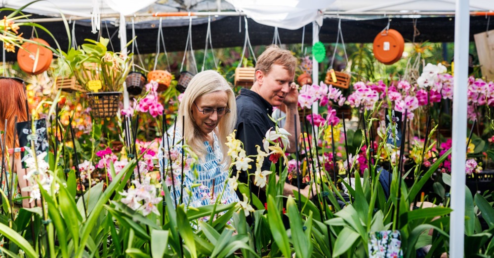 Woman and man looking down at a colorful array of orchids for sale.