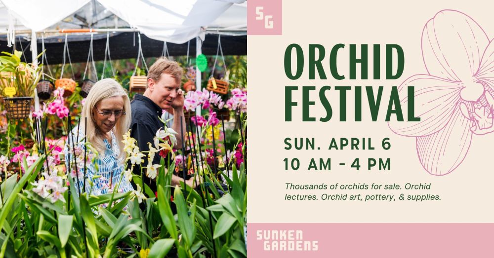 Graphic with photo of two people browsing an assortment of orchids for sale. On the right, text reads that Orchid Festival is Sunday, April 6 from 10 am to 4 pm at Sunken Gardens.