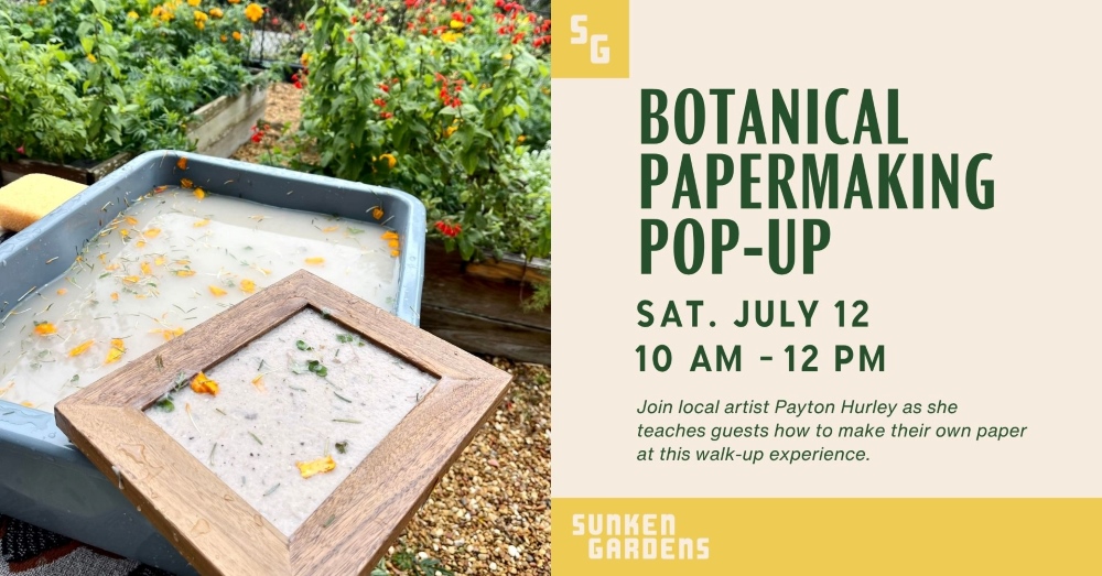 Graphic advertising a botanical papermaking pop-up program at Sunken Gardens.