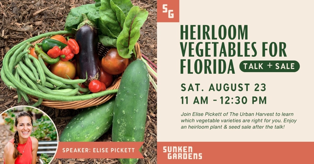 Graphic advertising a program called "Heirloom Vegetables for Florida - Talk & Sale" on August 23, 2025 from 11 am to 12:30 pm.