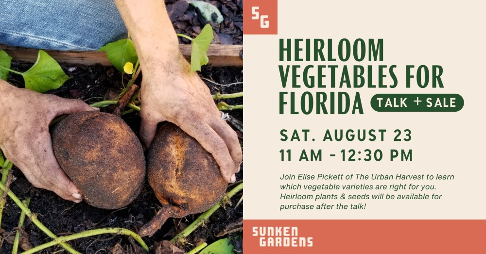 Graphic featuring photo of hands holding vegetables over garden bed and text advertising a talk and plant sale dedicated to heirloom vegetables for Florida