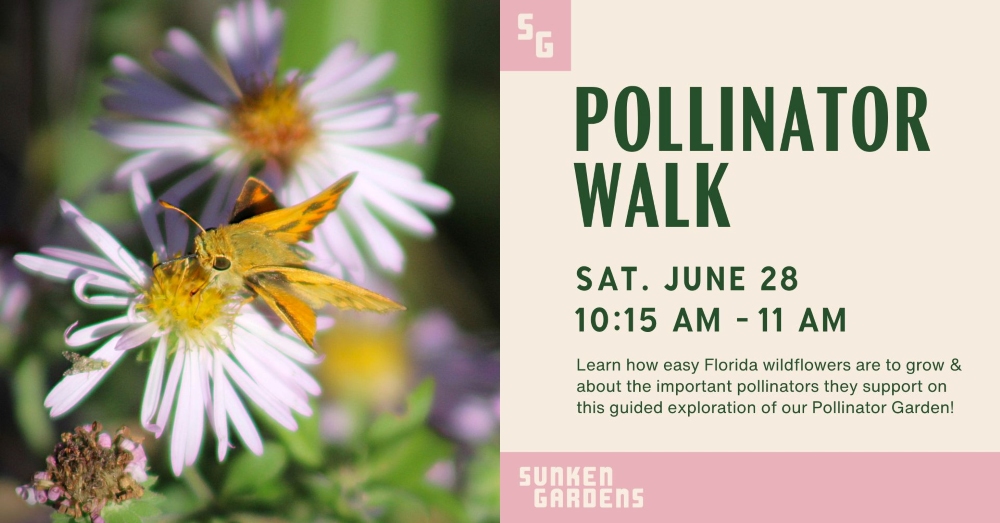 Graphic featuring photo of butterfly on wildflowers and text advertising a Pollinator Walk program at Sunken Gardens.