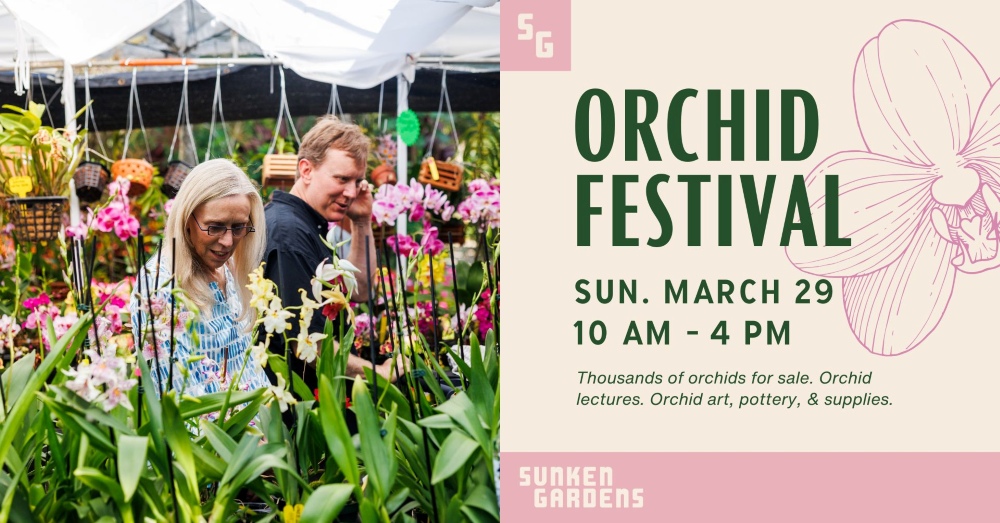 Graphic advertising Orchid Festival on March 29, 2026
